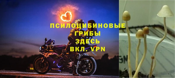 мескалин Киреевск