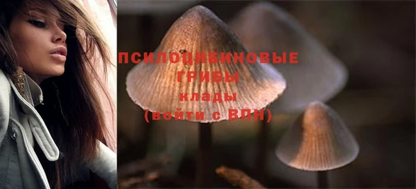 хмурый Киренск