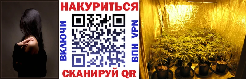 Бошки Шишки THC 21%  Купить где  Салехард 
